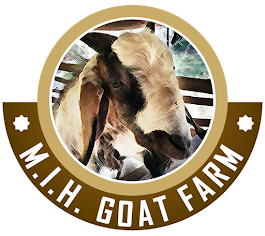 MIH Goat Farm