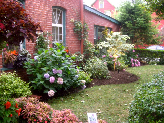 http://4.bp.blogspot.com/-WoIkWySvt2U/TodAu73e6NI/AAAAAAAAE90/55QYqHw9MqU/s1600/CIMG5669.jpg