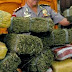 Dalam Sebulan Polisi Berhasil Mengamankan 2,1 Ton Ganja