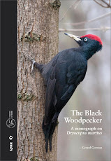 The Black Woodpecker - a monograph on Dryocopus martius