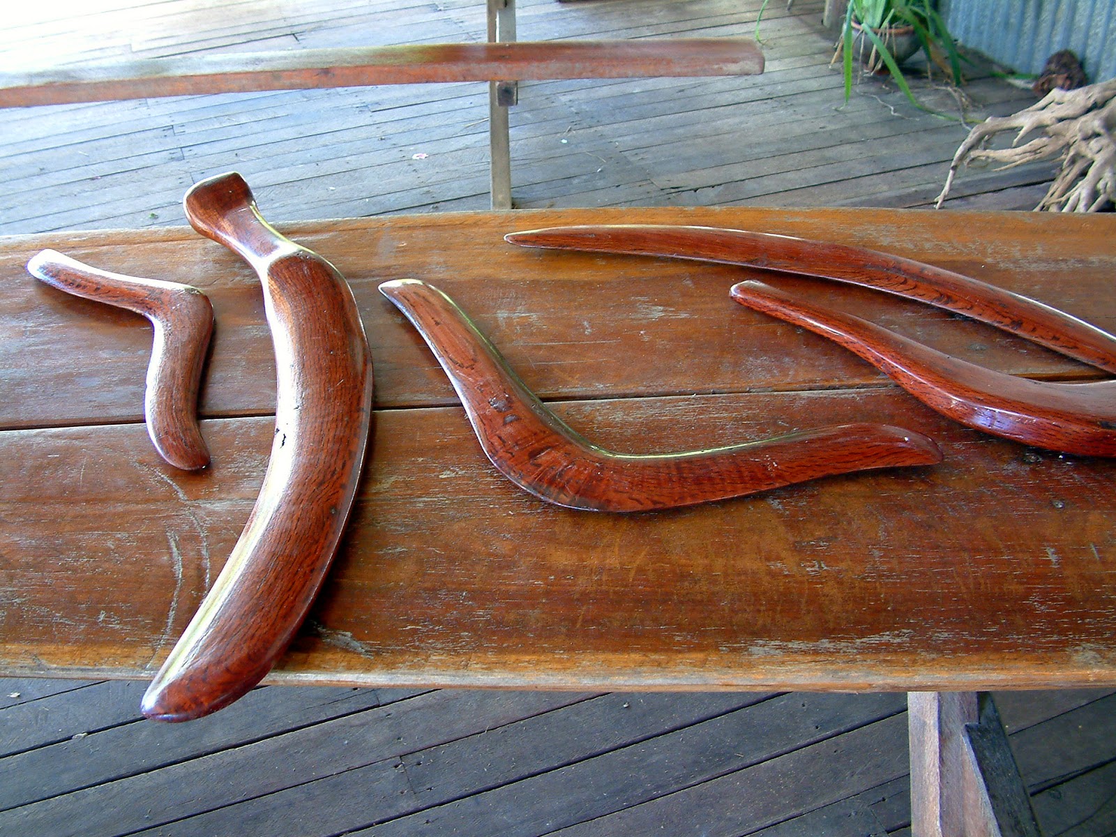 Play Boomerang Like a Pro A Short Story about Aboriginal Boomerang