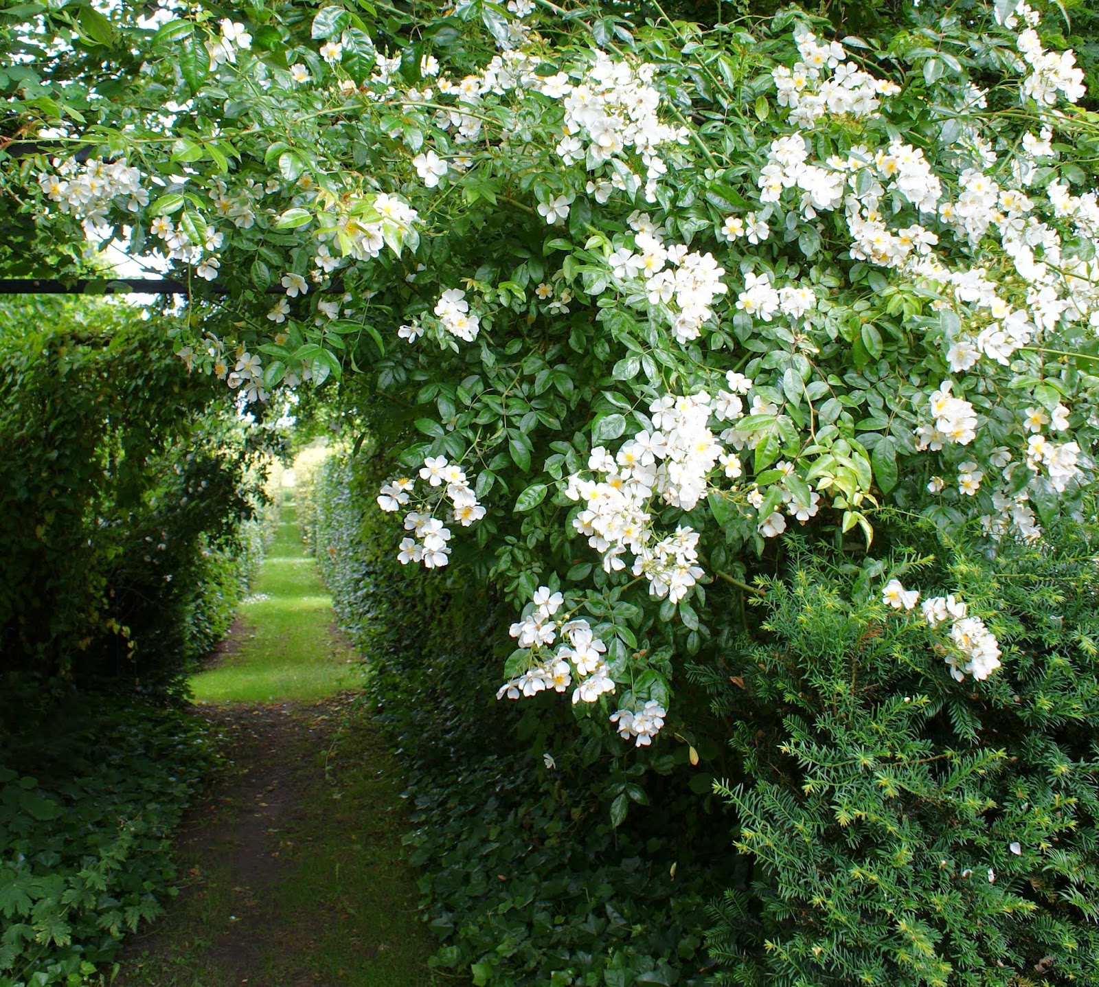 KJELD SLOT WHERE HAVE ALL THE ROSES GONE...?