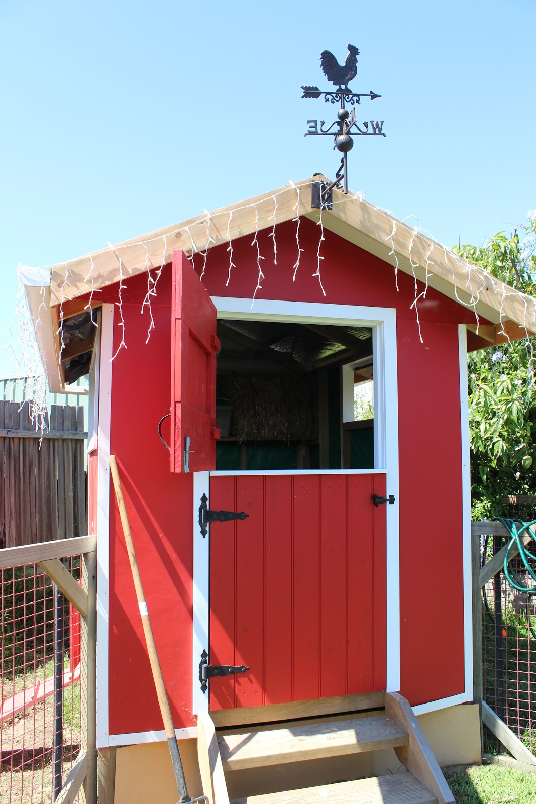 Homespun Field The best chicken house in the whole backyard!