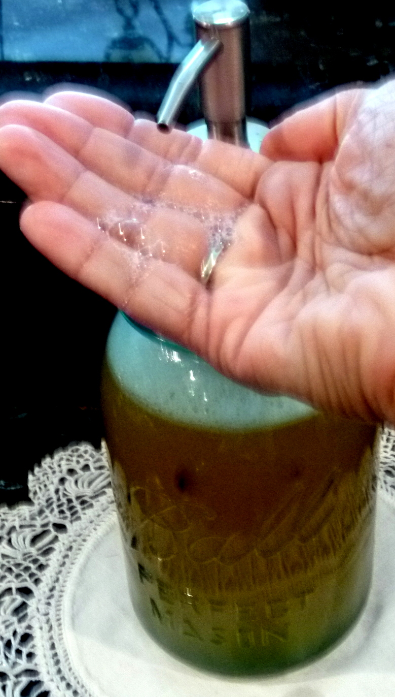 DIY Homemade Antibacterial Liquid Hand Soap Fresh Eggs Daily®