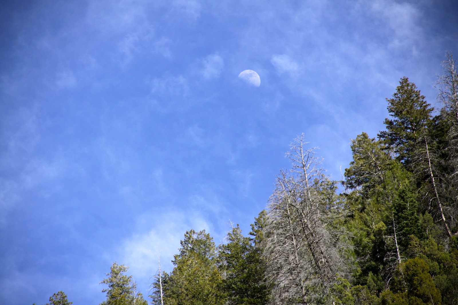 My Scenic Byway Diamond Fork Hot Springs, Utah