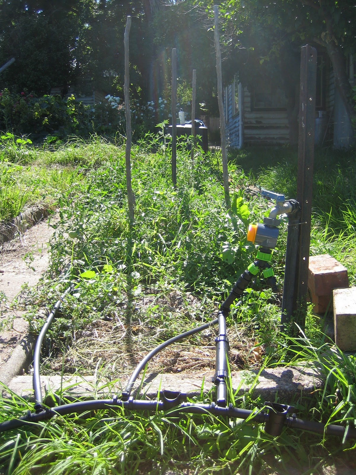 Three Part Plot Installing Irrigation System