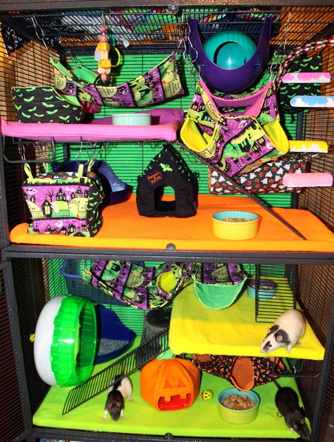 Halloween rat cage decorations. Rat cage, Pet cage, Rat cage accessories