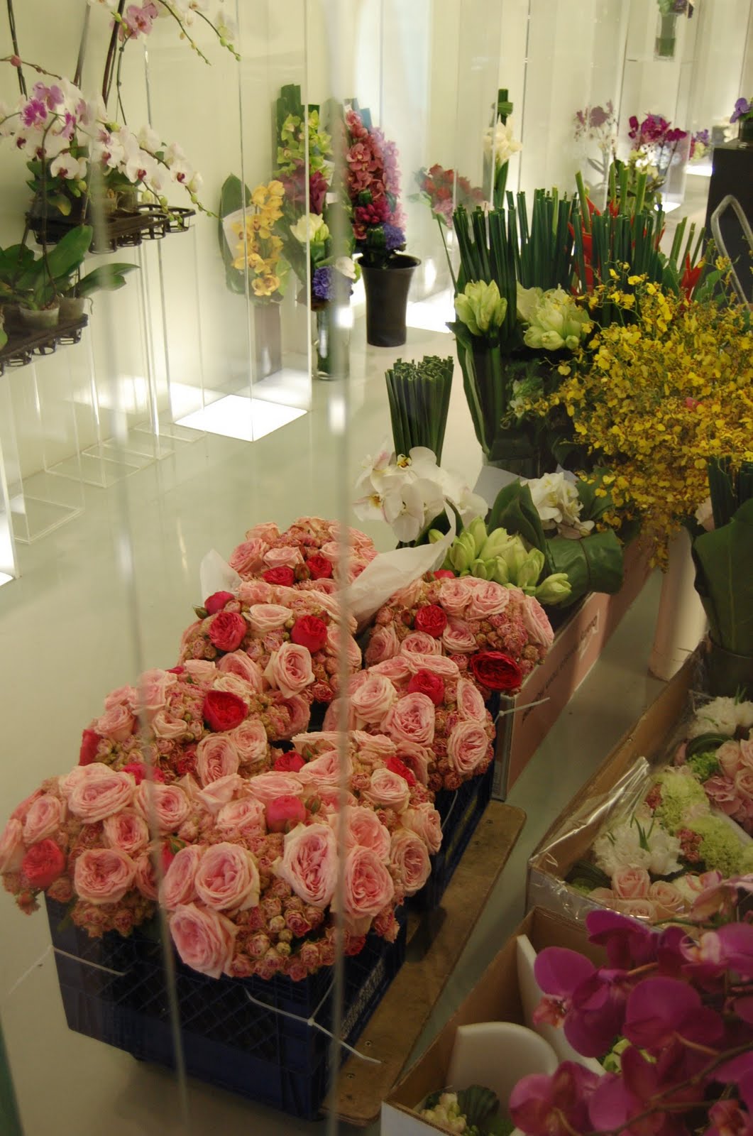 Mood Flowers Hong Kong Florals