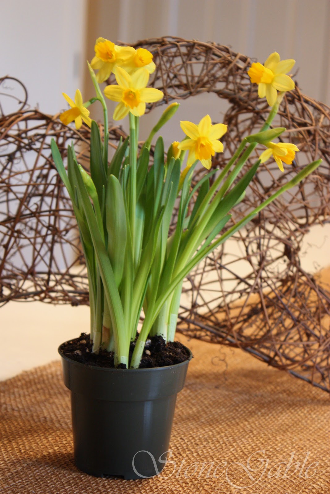 StoneGable Little Spring Gifts