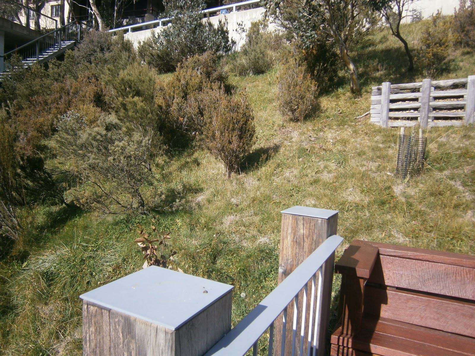 Our Great Australian Adventure... Thredbo Landslide of 97! Does