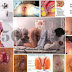 Obat Hemoroid Suppositoria Tradisional / Ambeclear thumbnail