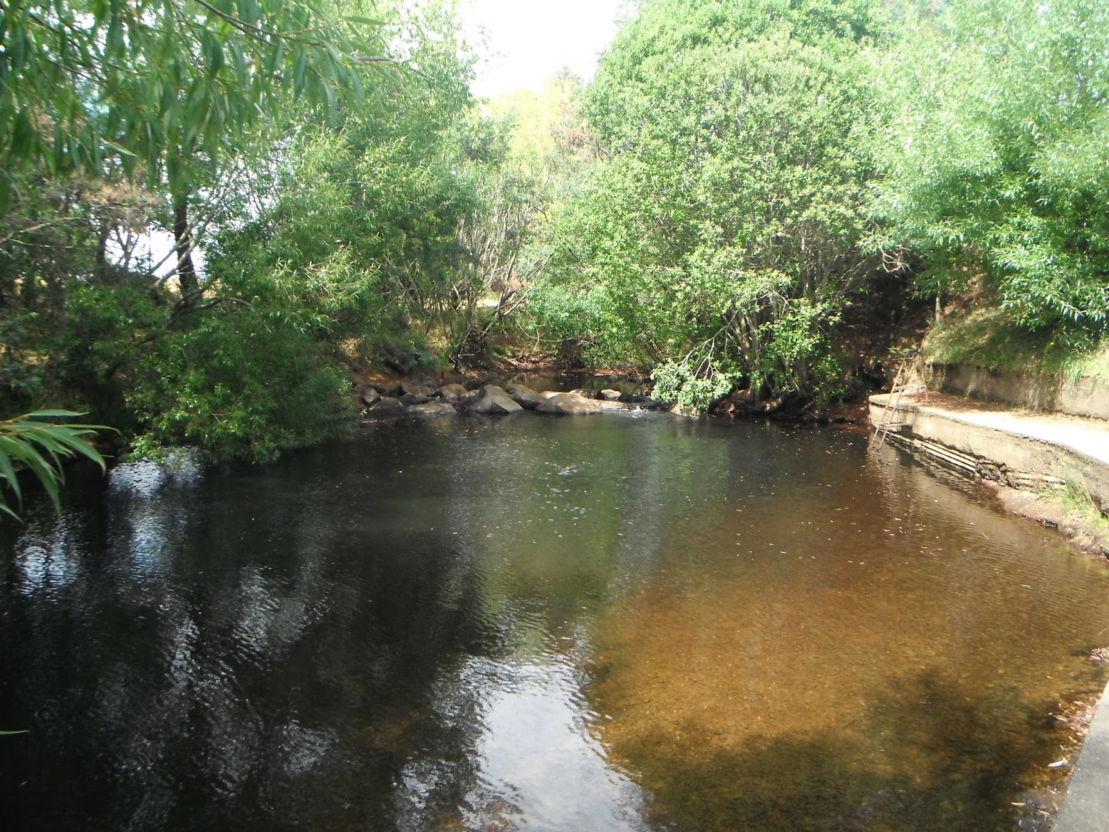 Evandale+&+Bracknell+009.JPG