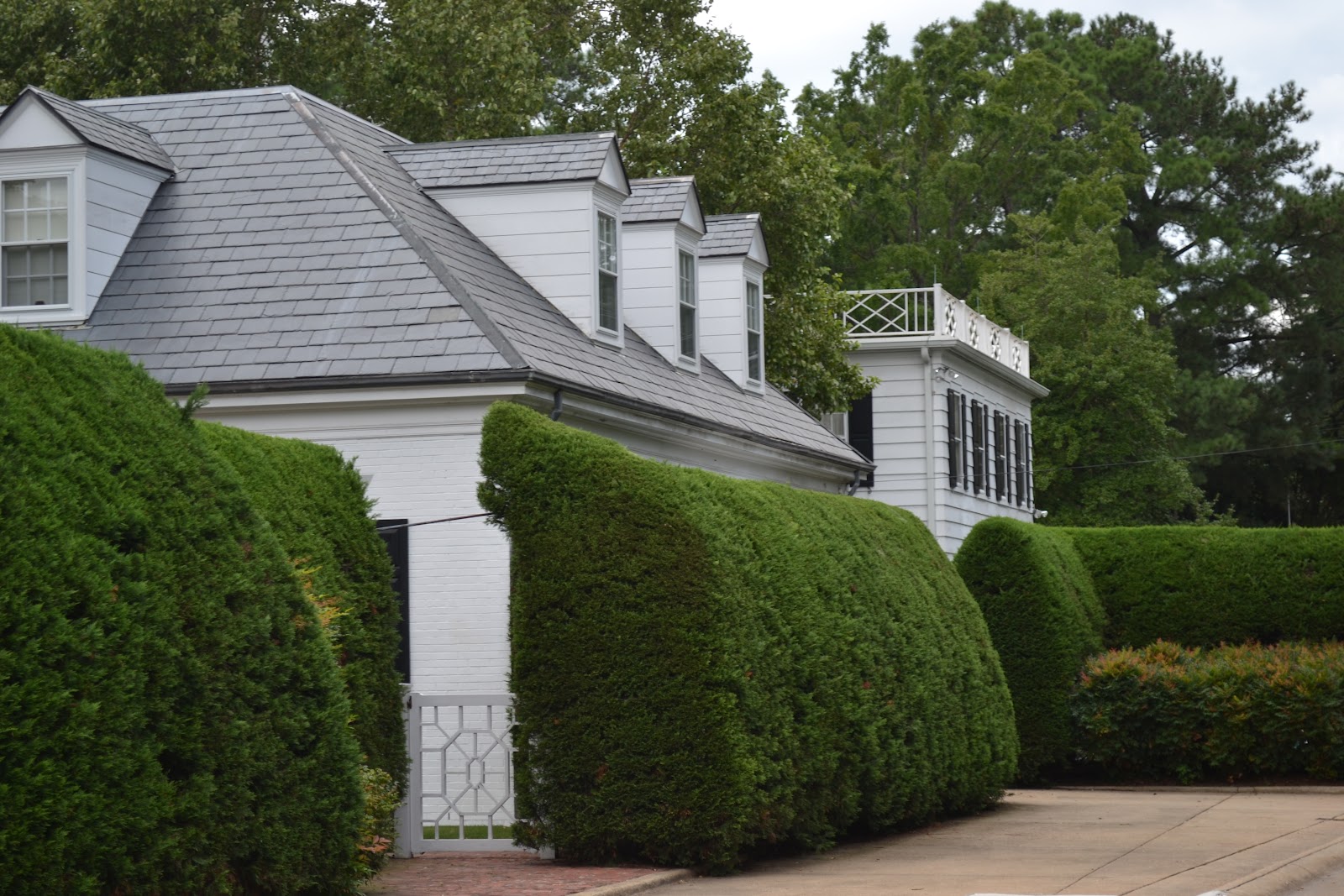 LUCY WILLIAMS INTERIOR DESIGN BLOG BEAUTIFUL HOMES OF NORFOLK, VIRGINIA