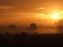 Dawn View from the Summerhouse