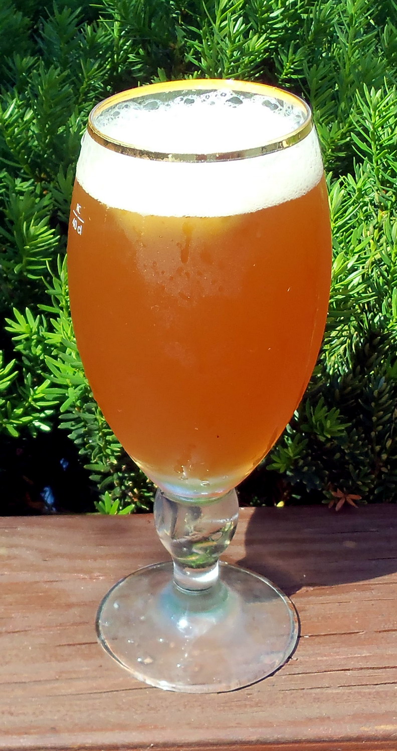 The Screwy Brewer Recipe 56 Screwy's Noble Wheat