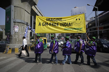Volunteers in Bangalore marking the 3rd Anniversary of Moratorium on Bt Brinjal