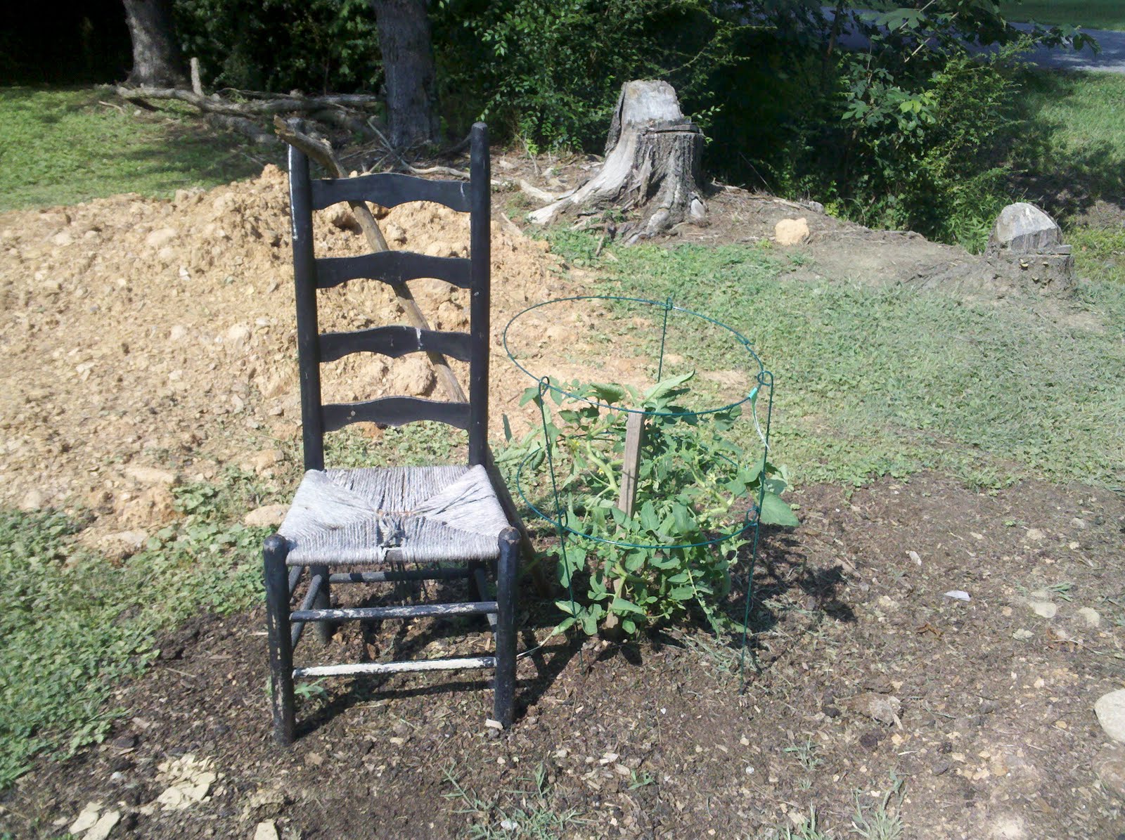 The Tin Roof Cafe The S Plants