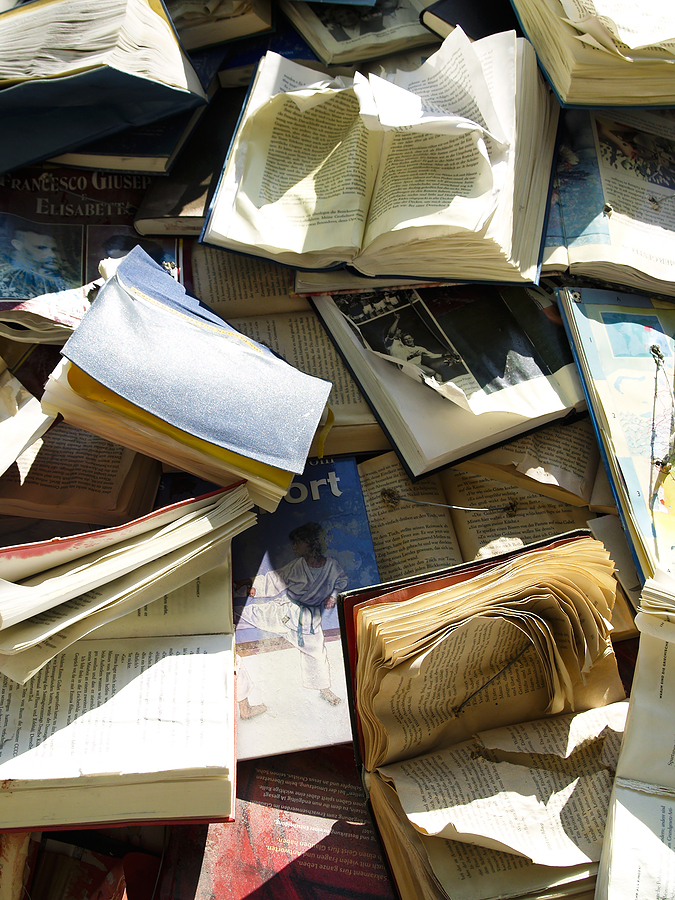 Canadian Bookplates The Bookplate Beneath The London Collegiate