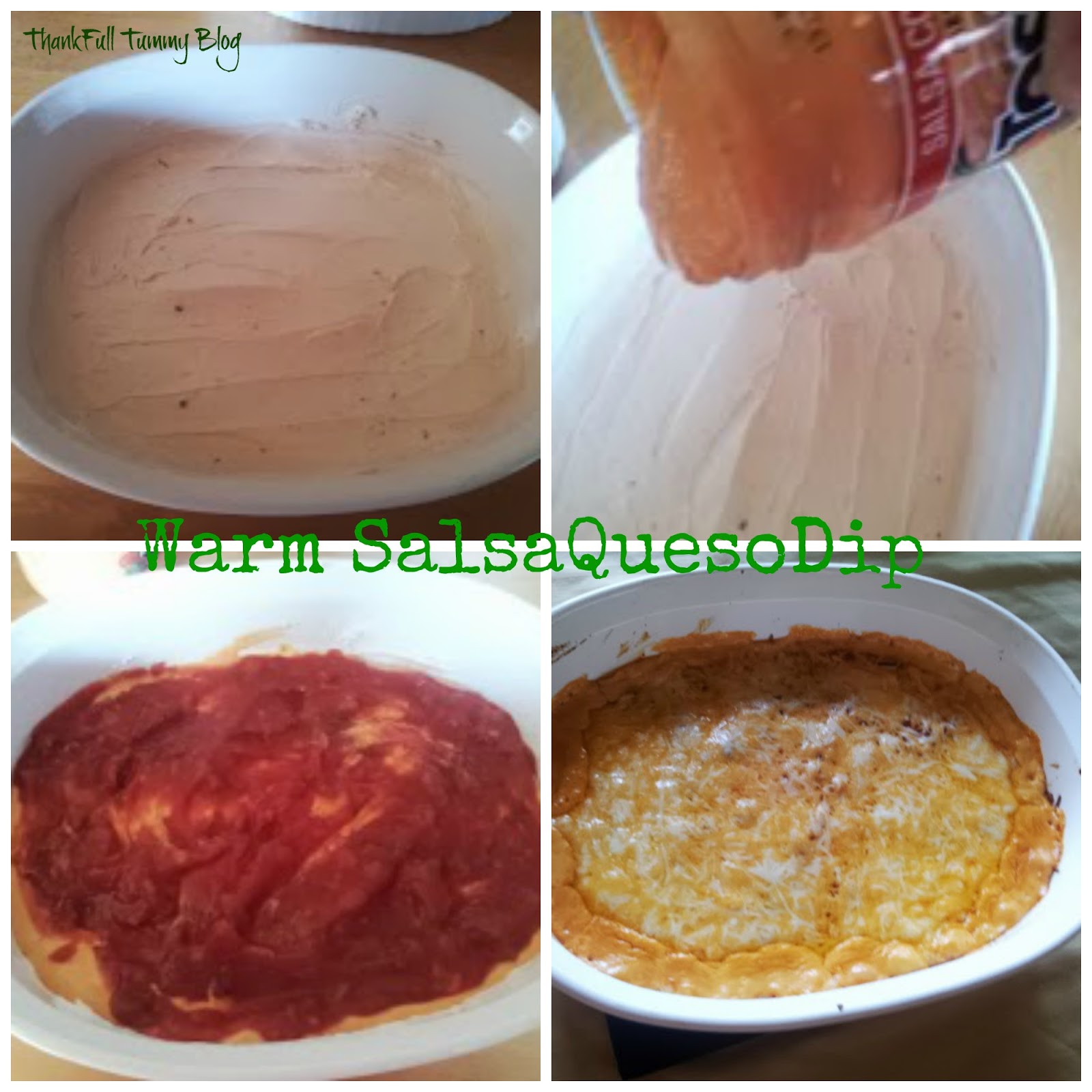 Warm Salsa & Queso Dip The Whimsy One