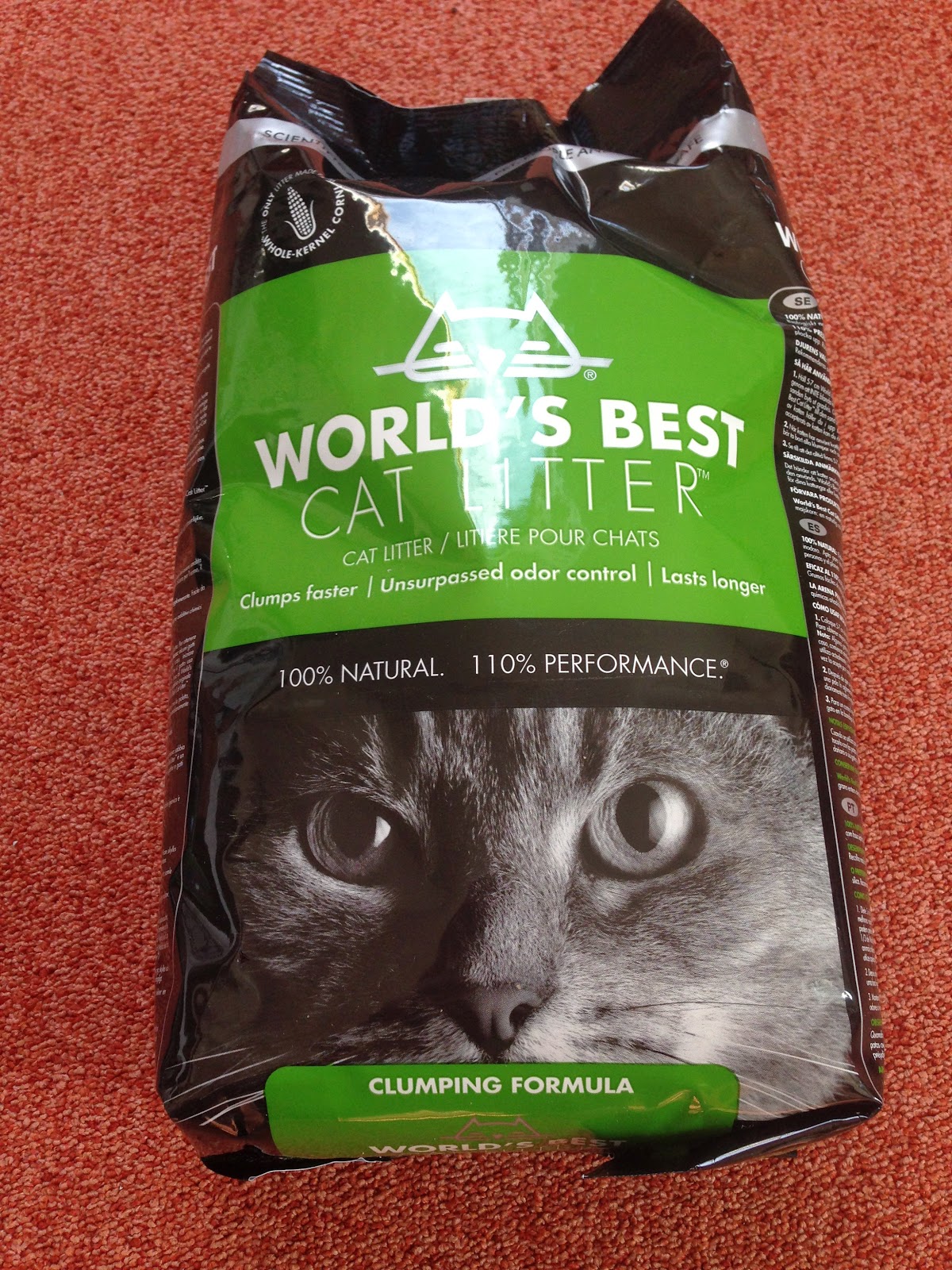 Produkttest World's Best Cat Litter