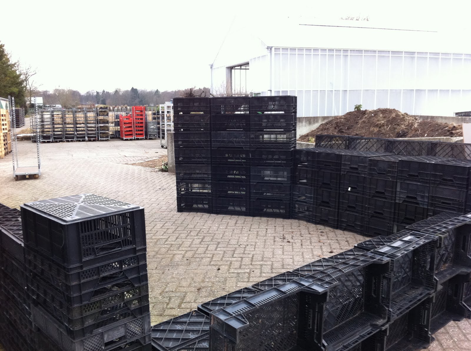 Ar1a floris de hingh: maart 2011