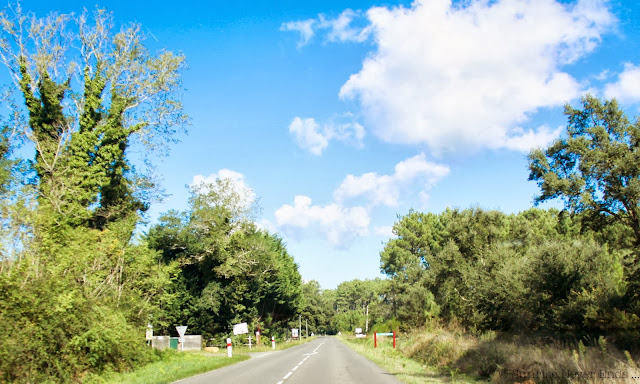 on the road,road trip,landes,moliets,courant du huchet