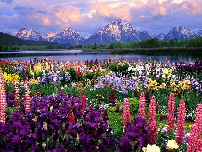 Tag: e' primavera!!! Tag: e' primavera!!!