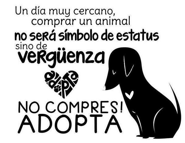 Resultado de imagen para DUELE VER A ANGELES