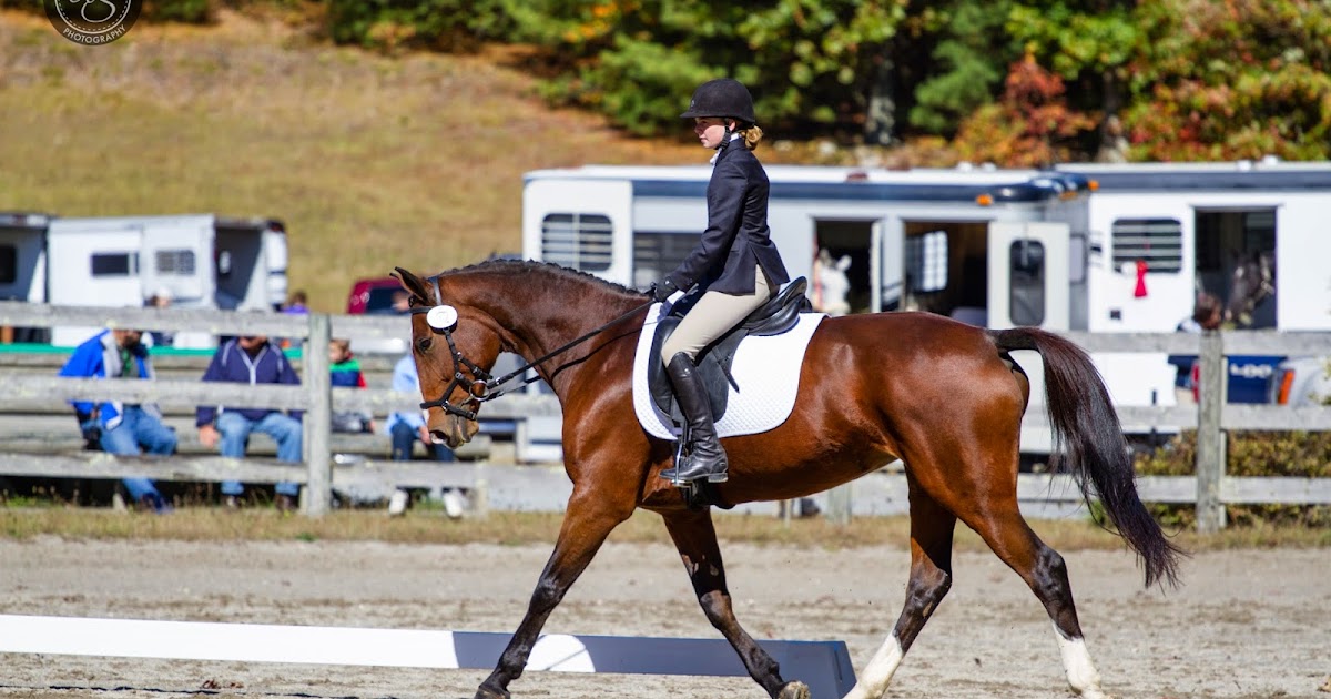 Rantings of a Horse Mom Dressage, Hunters, Eventing What's the difference and why do I care?