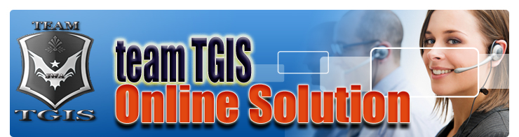 Team TGIS Online Solution