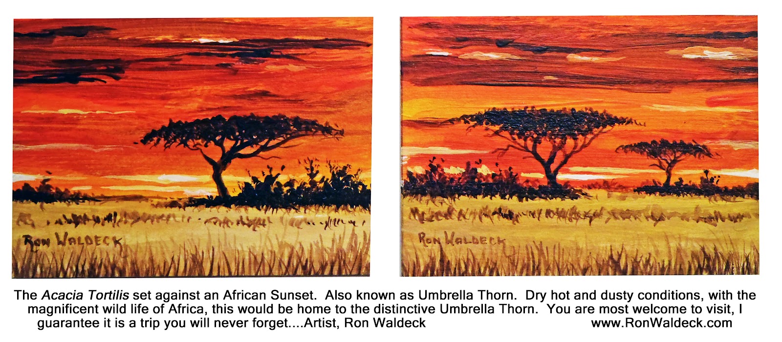 Small Art From The Heart International Exhibit Of ACEO Fine Art Oil