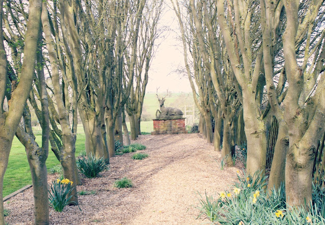 Amazing Advertisers Amazing Advertisers