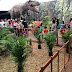 Exhibición Dinosaurios Animatronic´s en Naucallli estará en CDMX hasta el 29 de agosto