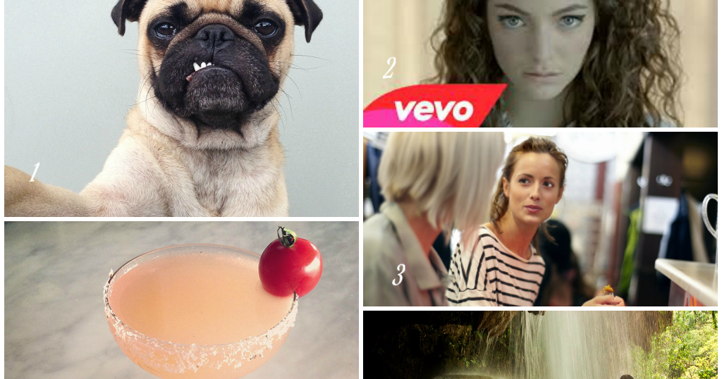 the simple treat: FRIDAY FAVORITES