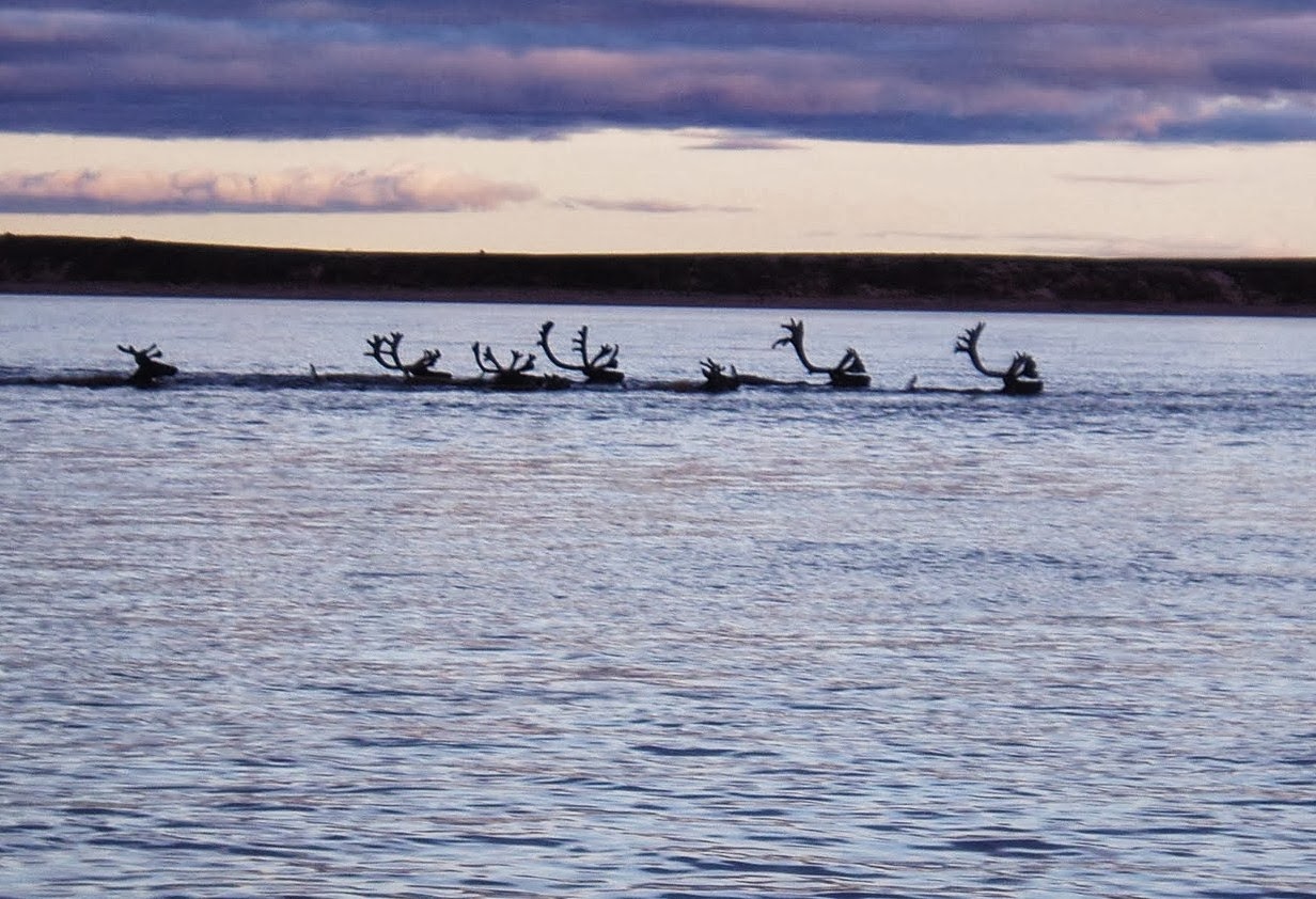 Travel Trip Journey Baker Lake Canada