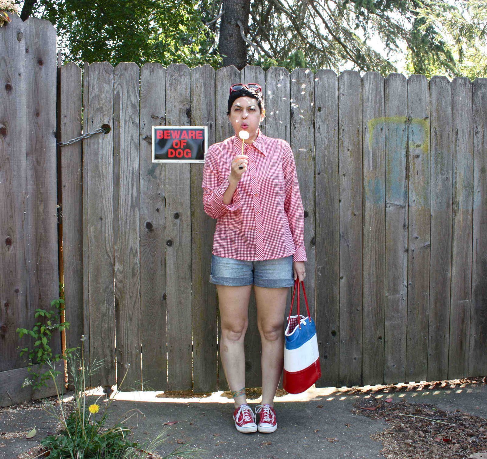 THE CITIZEN ROSEBUD My Gingham Collar, Ice Cream + Links Ala Mode