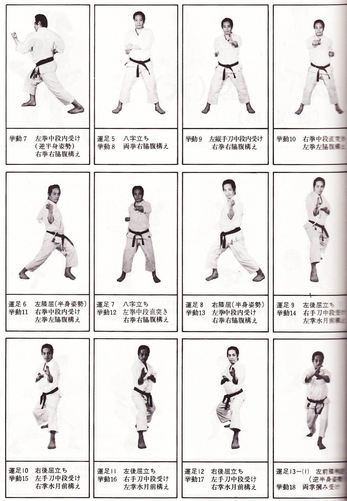 Basic Karate Moves
