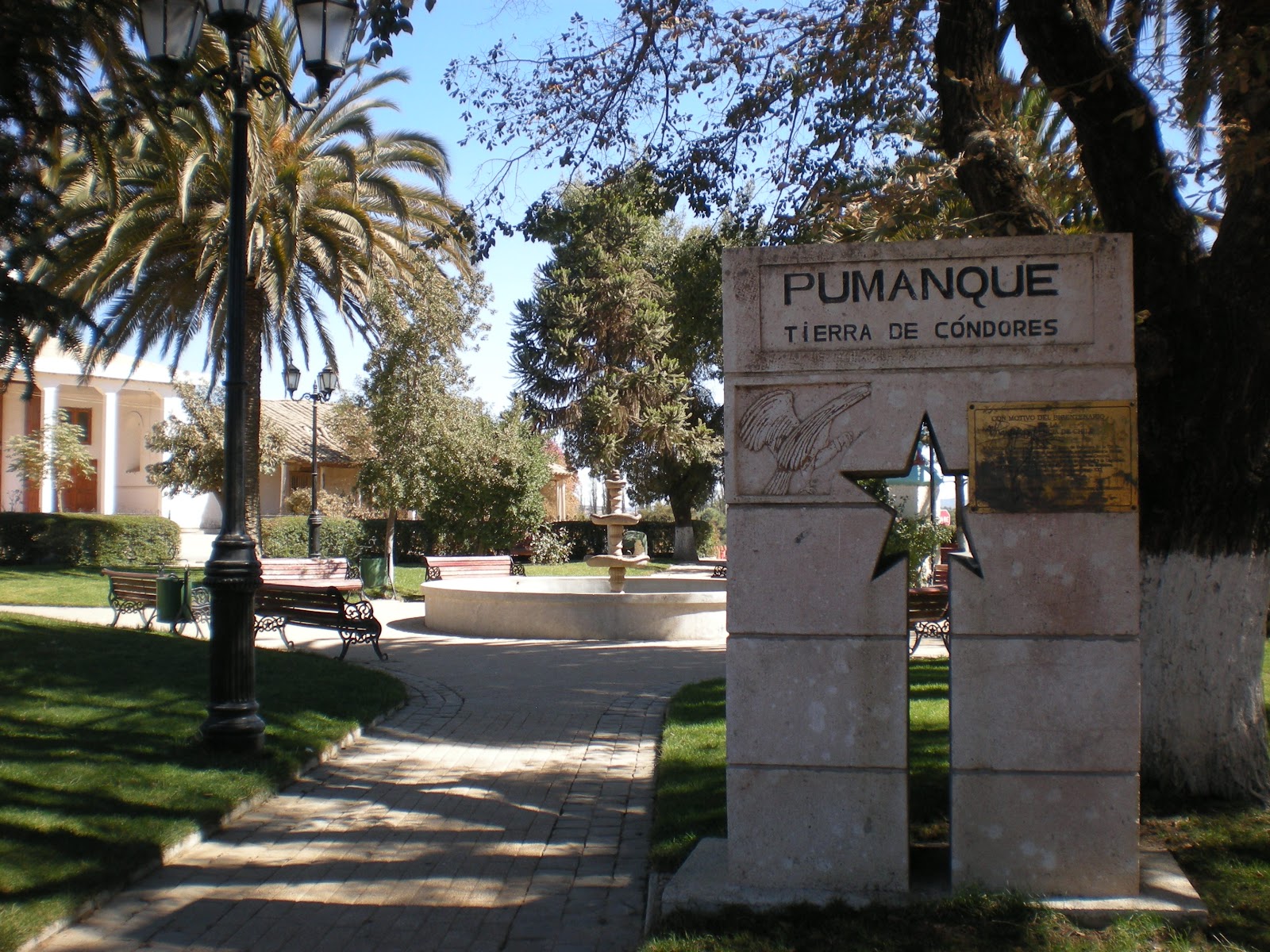 Pumanque Alchetron, The Free Social Encyclopedia