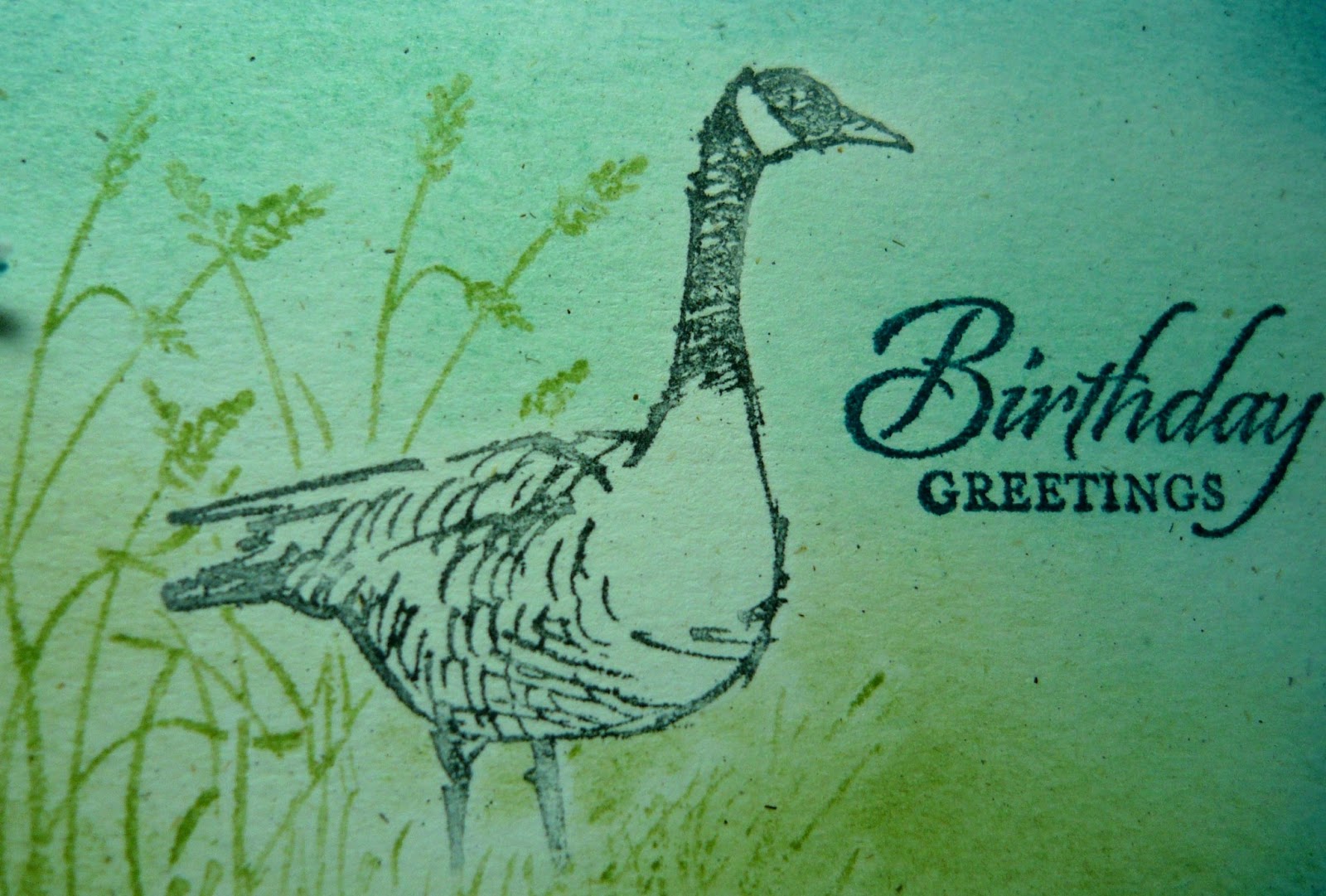 Perry Papercrafts Indigo Birthday