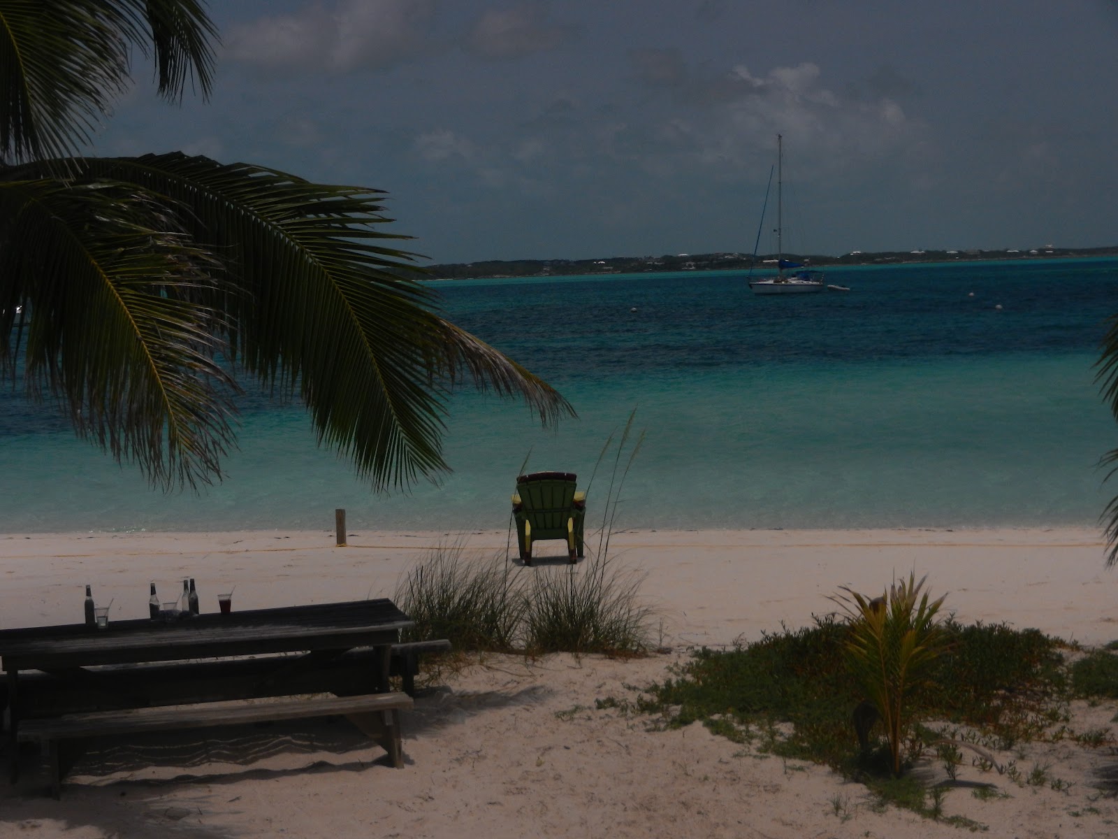 s/vWhitewing Exumas,Bahamas