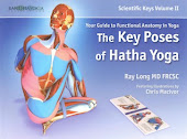 The Key Poses of Hatha Yoga: Your Guide to Functional Anatomy in Yoga