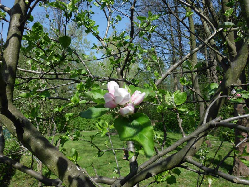 Six Brain Healthy Strategies For Elders