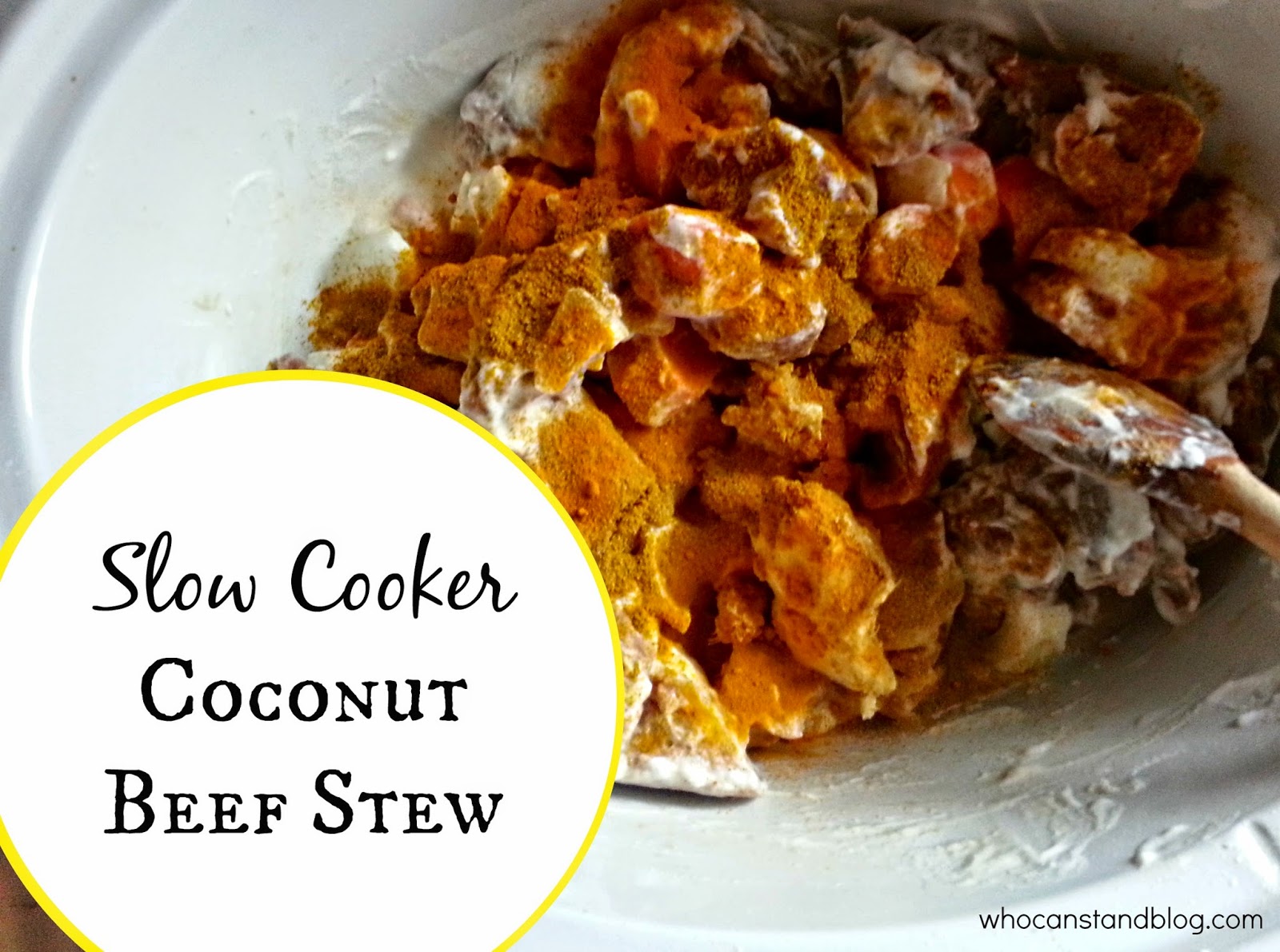 WHO CAN STAND Slow Cooker Coconut Beef Stew