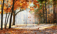 Autumn Quotes And Images3