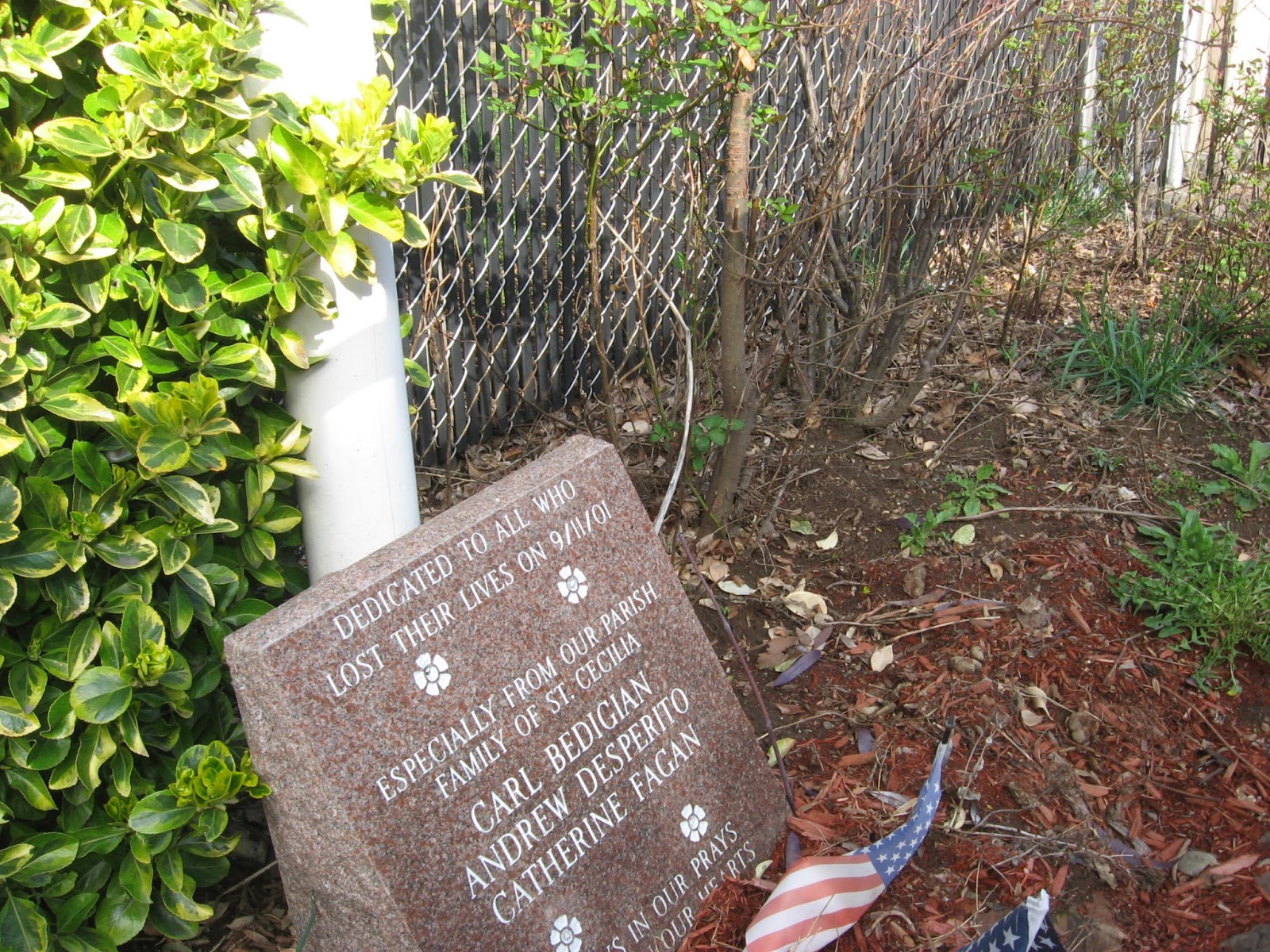 Brooklyn Catholic St. Cecilia, Greenpoint