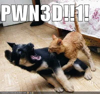 Funny DOG Pictures