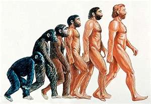 Evolution+Chart.jpg