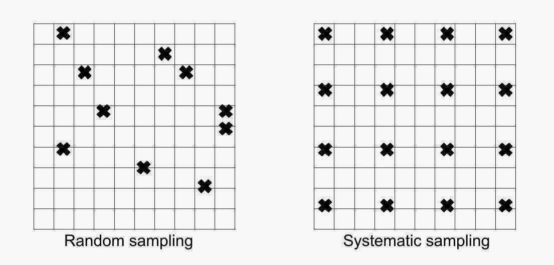 Quadrat Sampling Worksheet