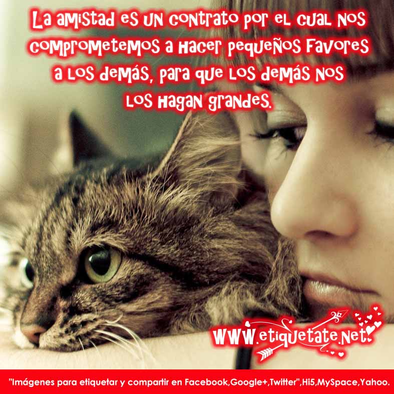 Imágenes Increíbles Para Facebook | pz c imagenes de amistad Imágenes Increíbles Para Facebook | pz c imagenes de amistad