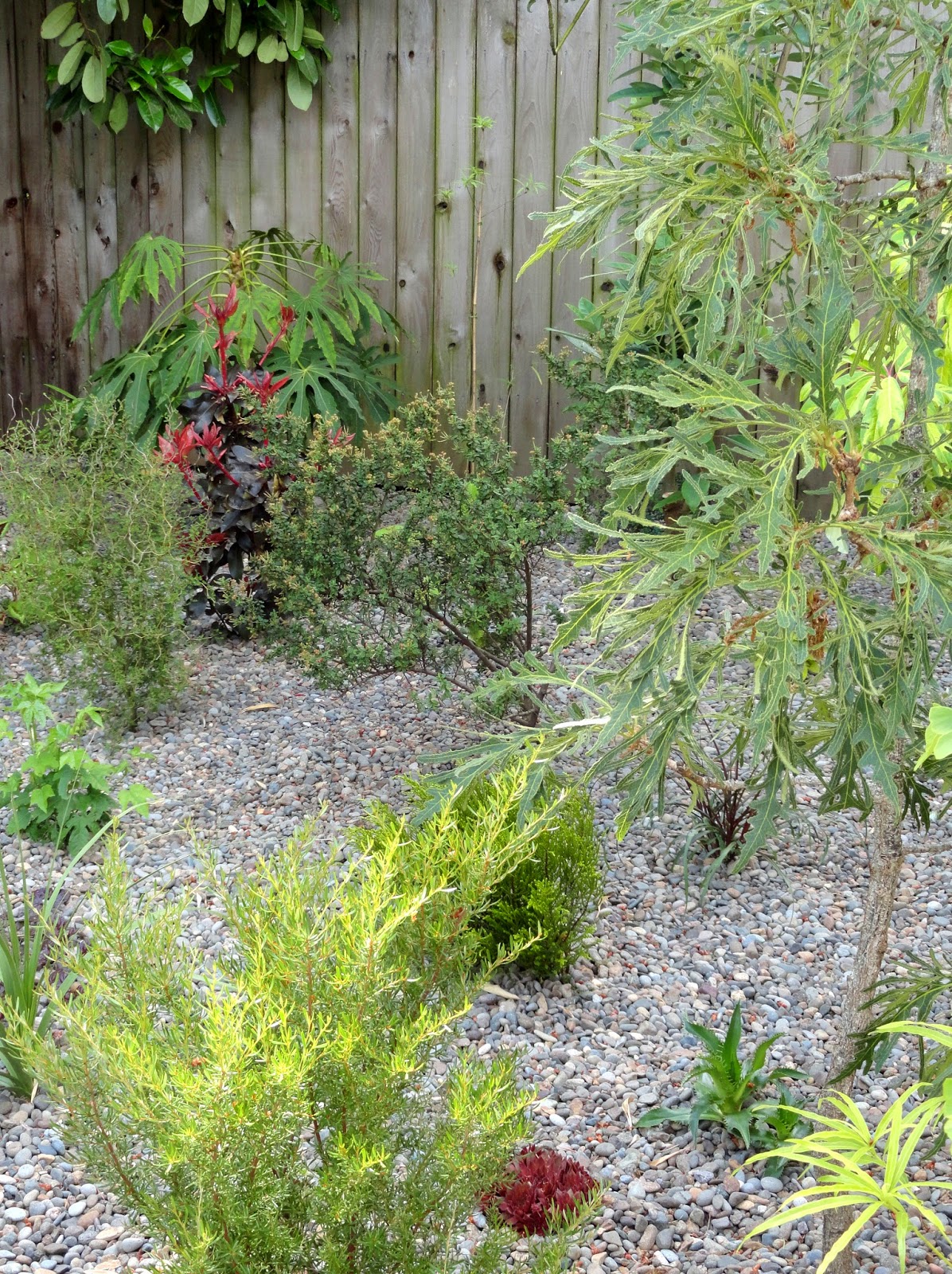 Garden Shade Meditation